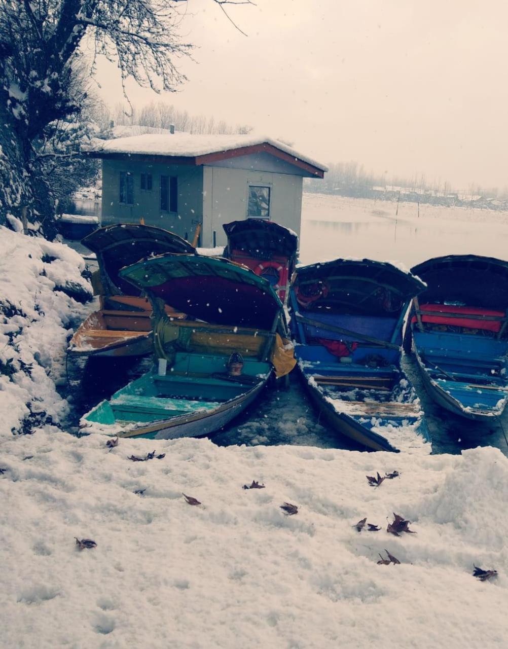 فندق Kings Houseboats Srīnagar المظهر الخارجي الصورة
