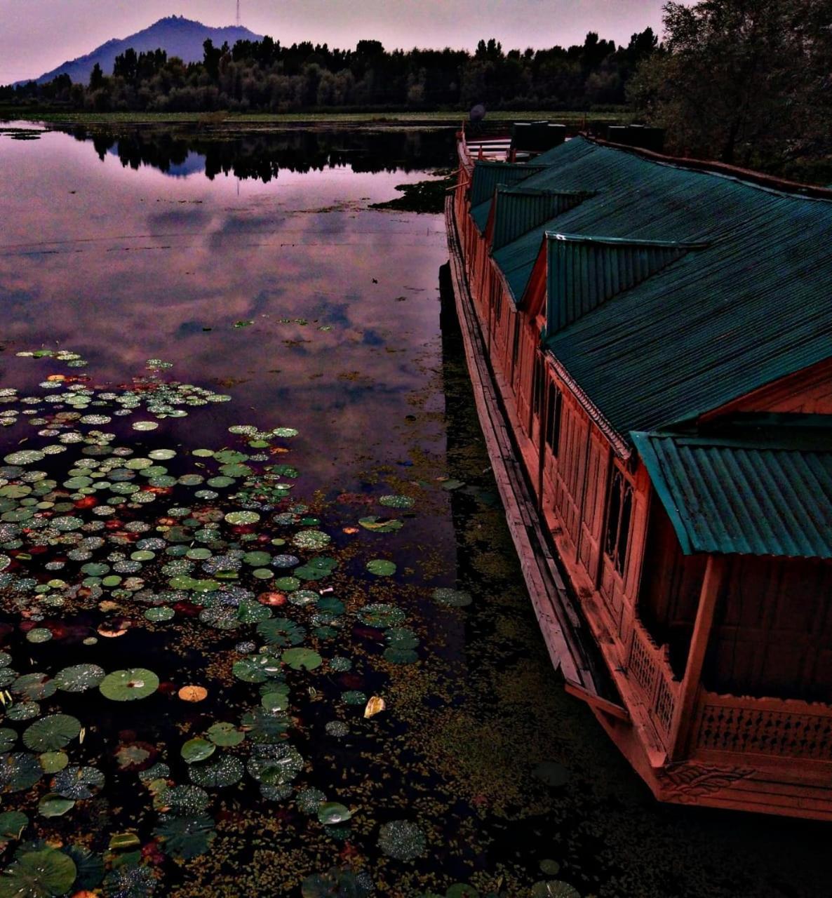 فندق Kings Houseboats Srīnagar المظهر الخارجي الصورة